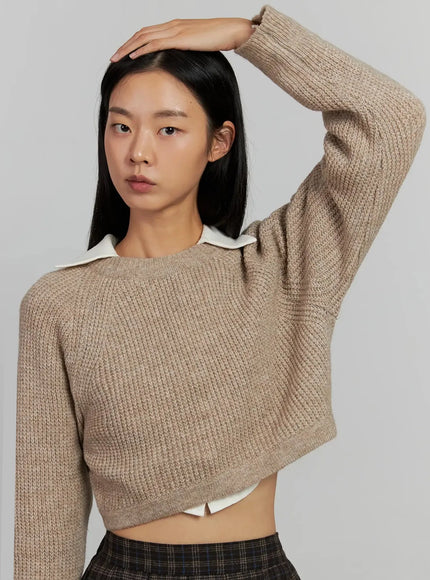 Cropped Crewneck Knit Top IJ502