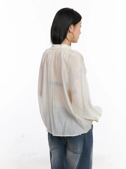sheer-ruffle-long-sleeve-blouse-co508
