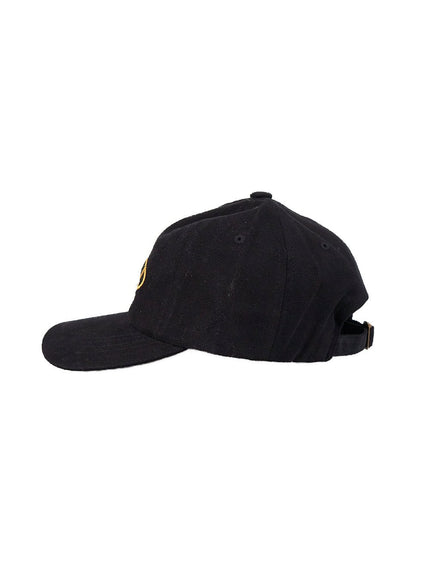 Embroidered Baseball Cap CJ511