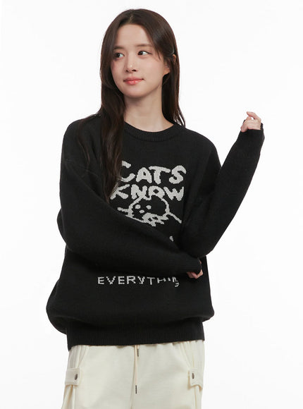 Cozy Graphic Knit Sweater IJ510