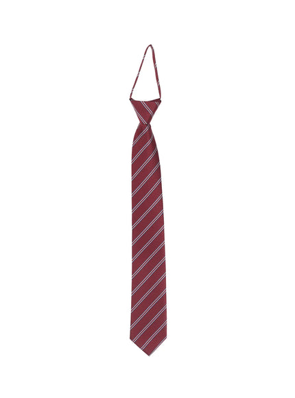 mens-striped-pre-tied-tie-is510