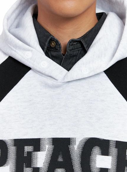 mens-raglan-graphic-high-neck-hoodie-is510