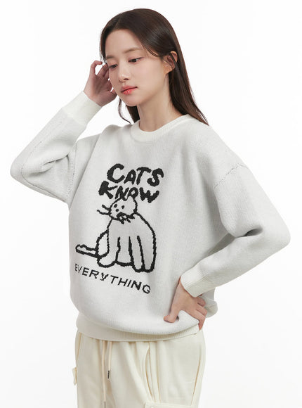 Cozy Graphic Knit Sweater IJ510