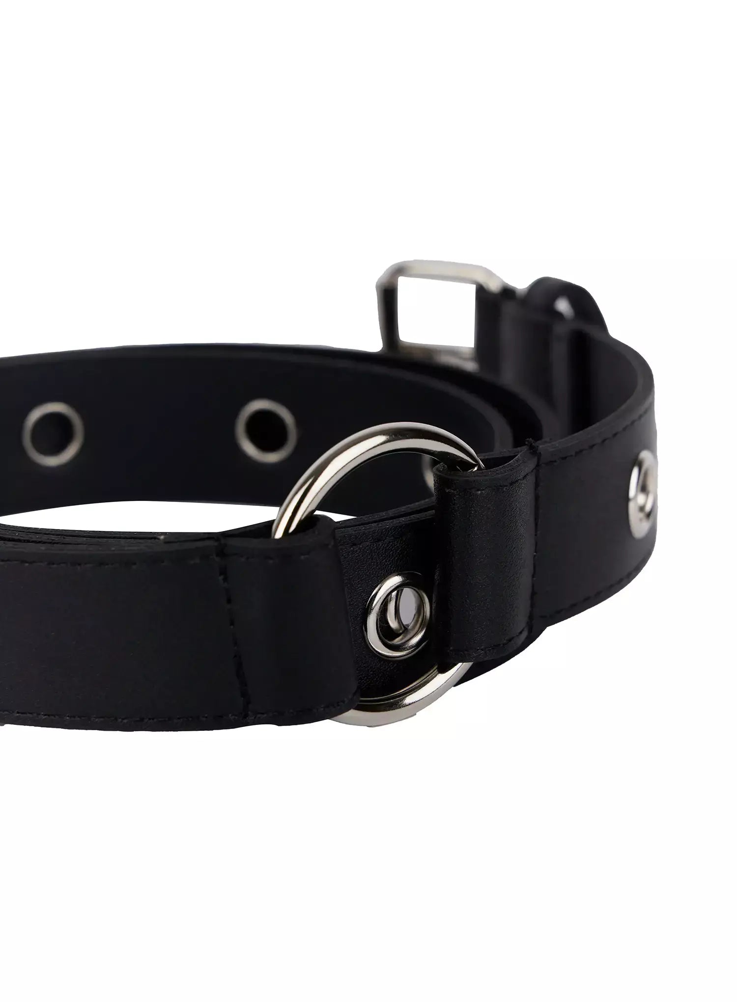 Studded Grommet Ring Belt IM506