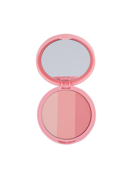 Artclass By Rodin Blusher (9.5g) - De Berry