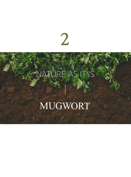 mugwort-mask-110g