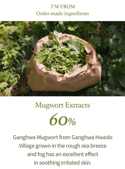 mugwort-gel-cleanser-150ml