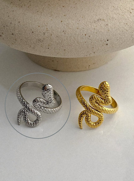 kafka-spiral-line-ring-ia524 / Silver