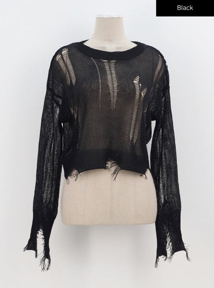 Crewneck Ripped Sweater CA307