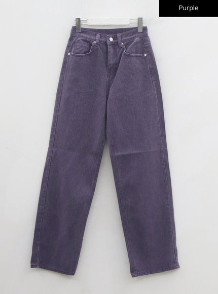 Basic Wide Leg Pants CO28