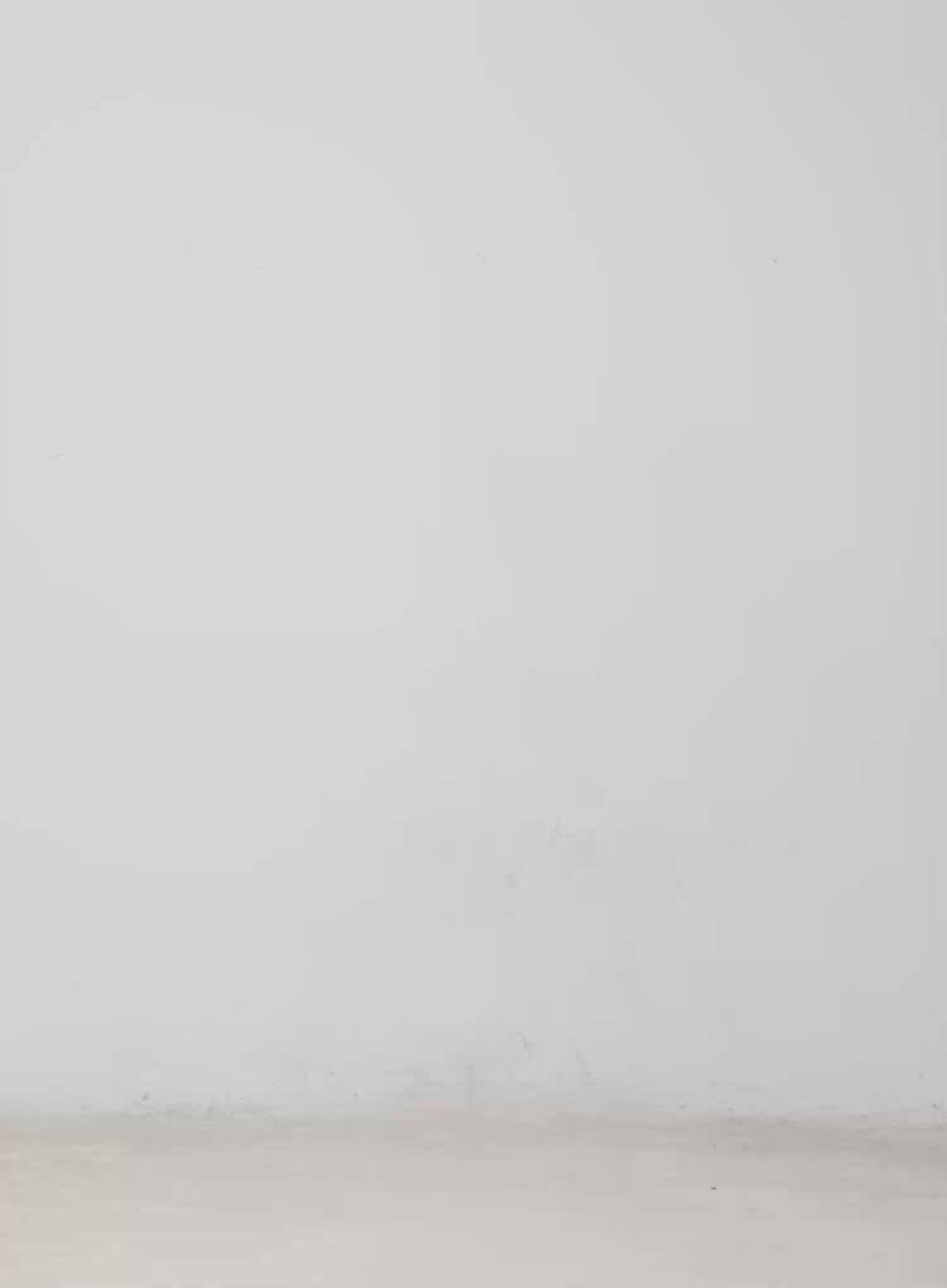 Oversized Denim Buttoned Jacket CM512