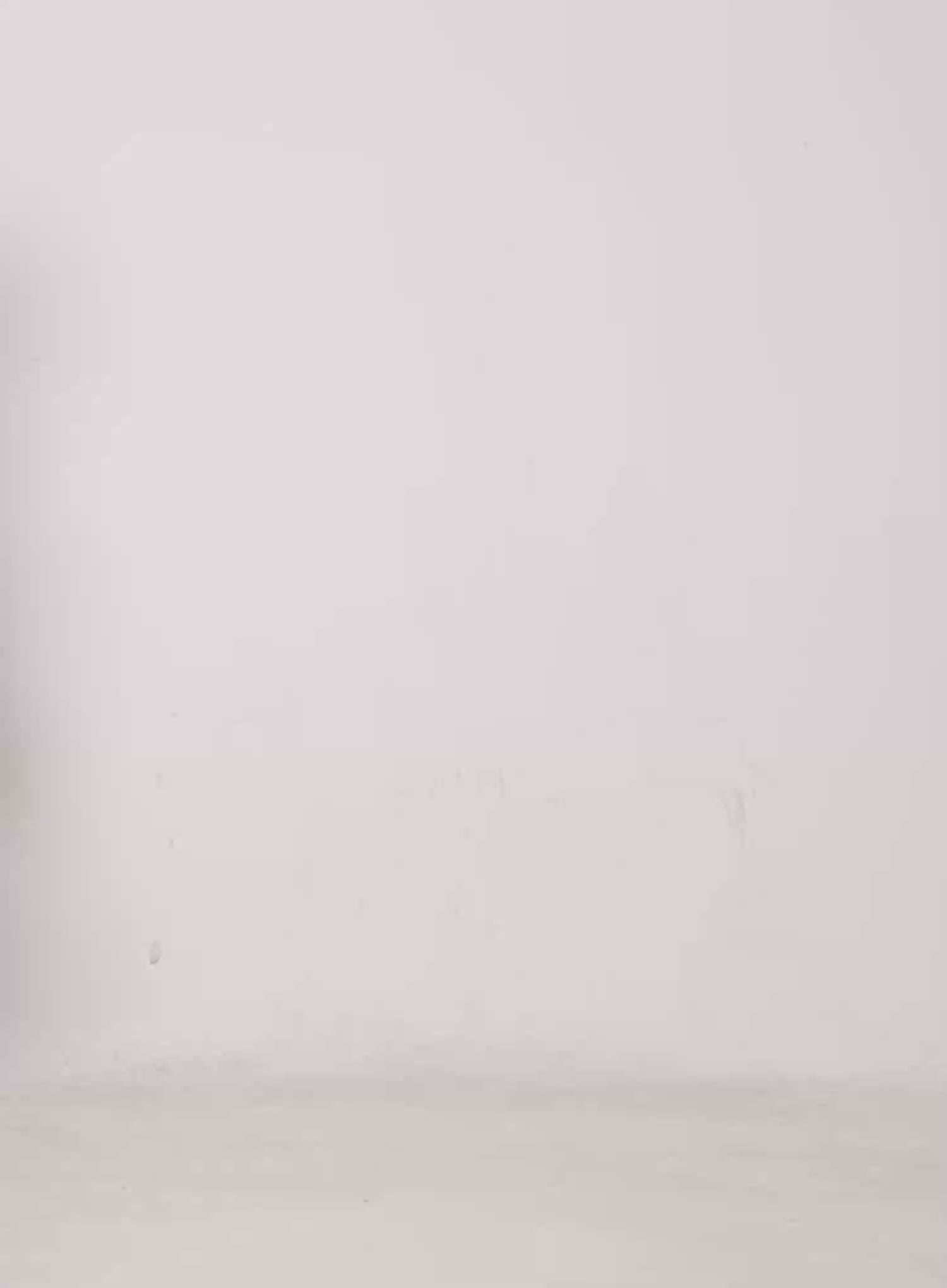 Off-Shoulder Eyelet Sweatshirt CG529