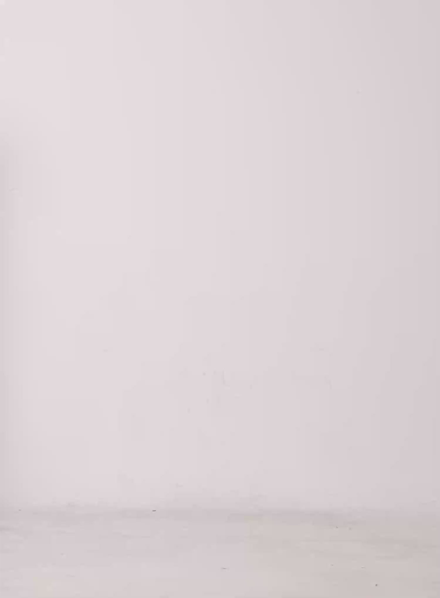 Frill Off-Shoulder Top CU519