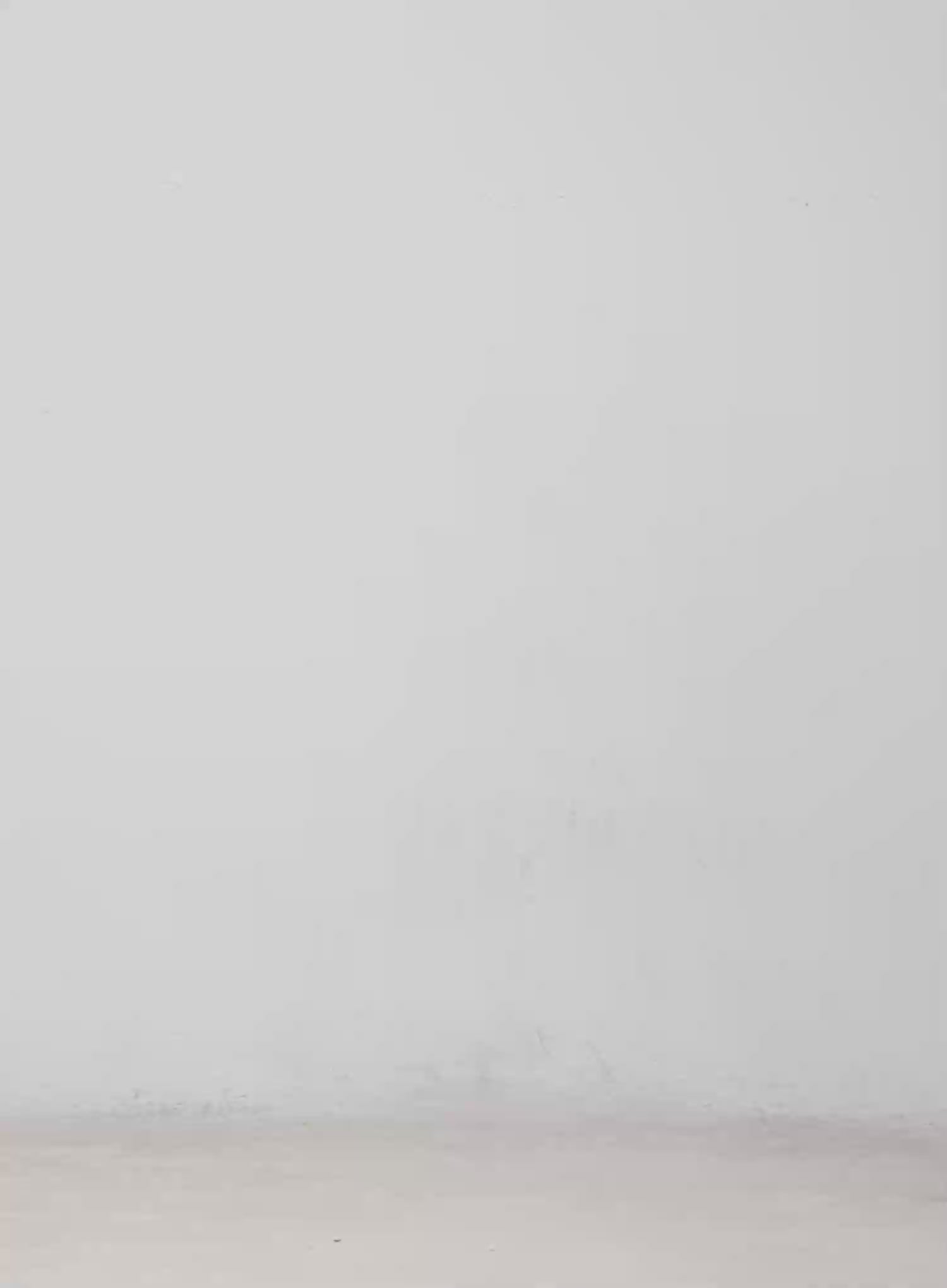 Ariyah High-Waist Baggy Jeans CM512