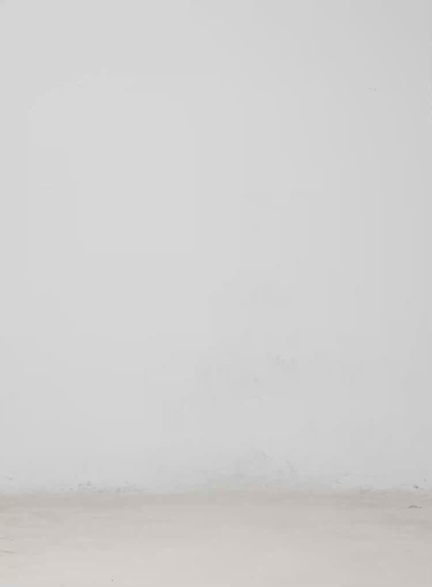 Laced Off-Shoulder Top IA527