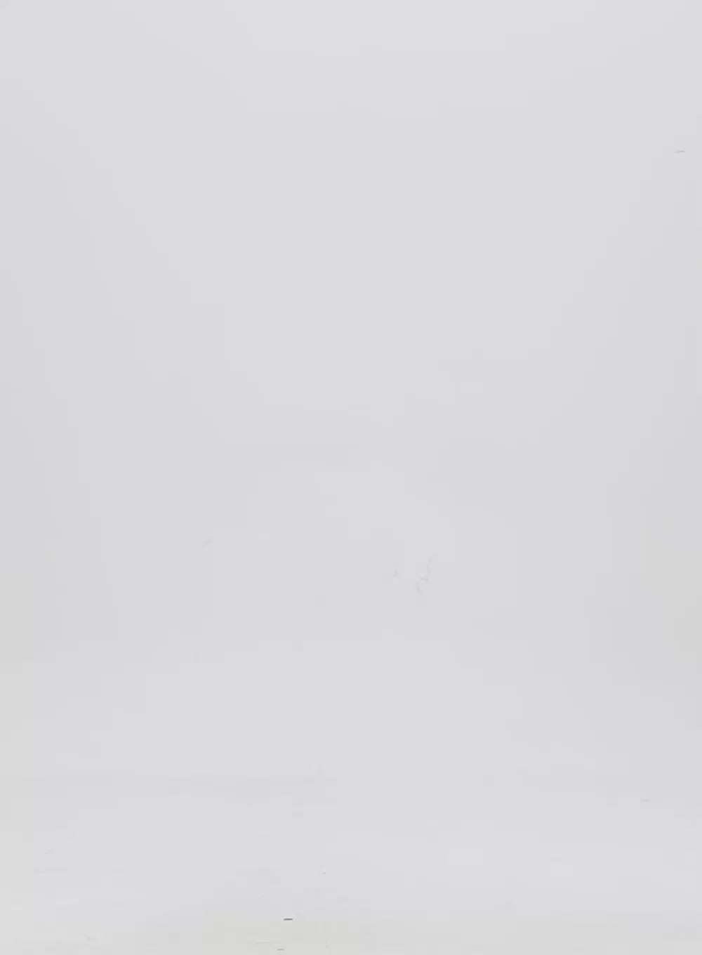 Wide Denim Shorts IG304