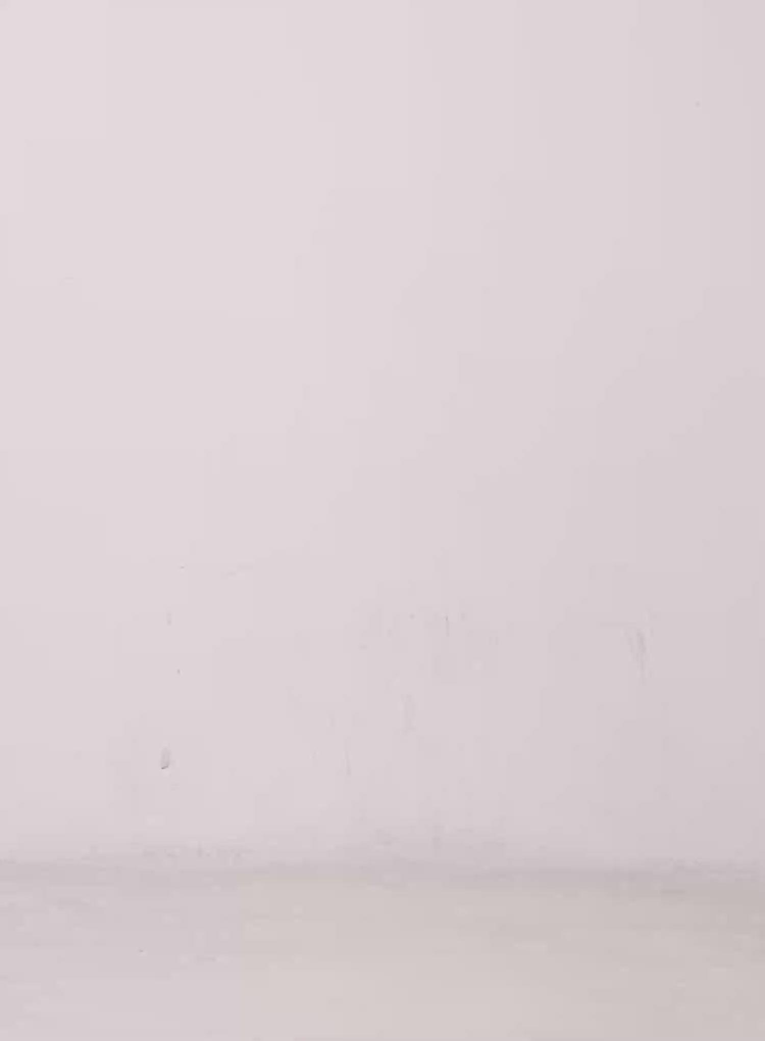 Asymmetrical Tie Detail Long Sleeve Top CO501