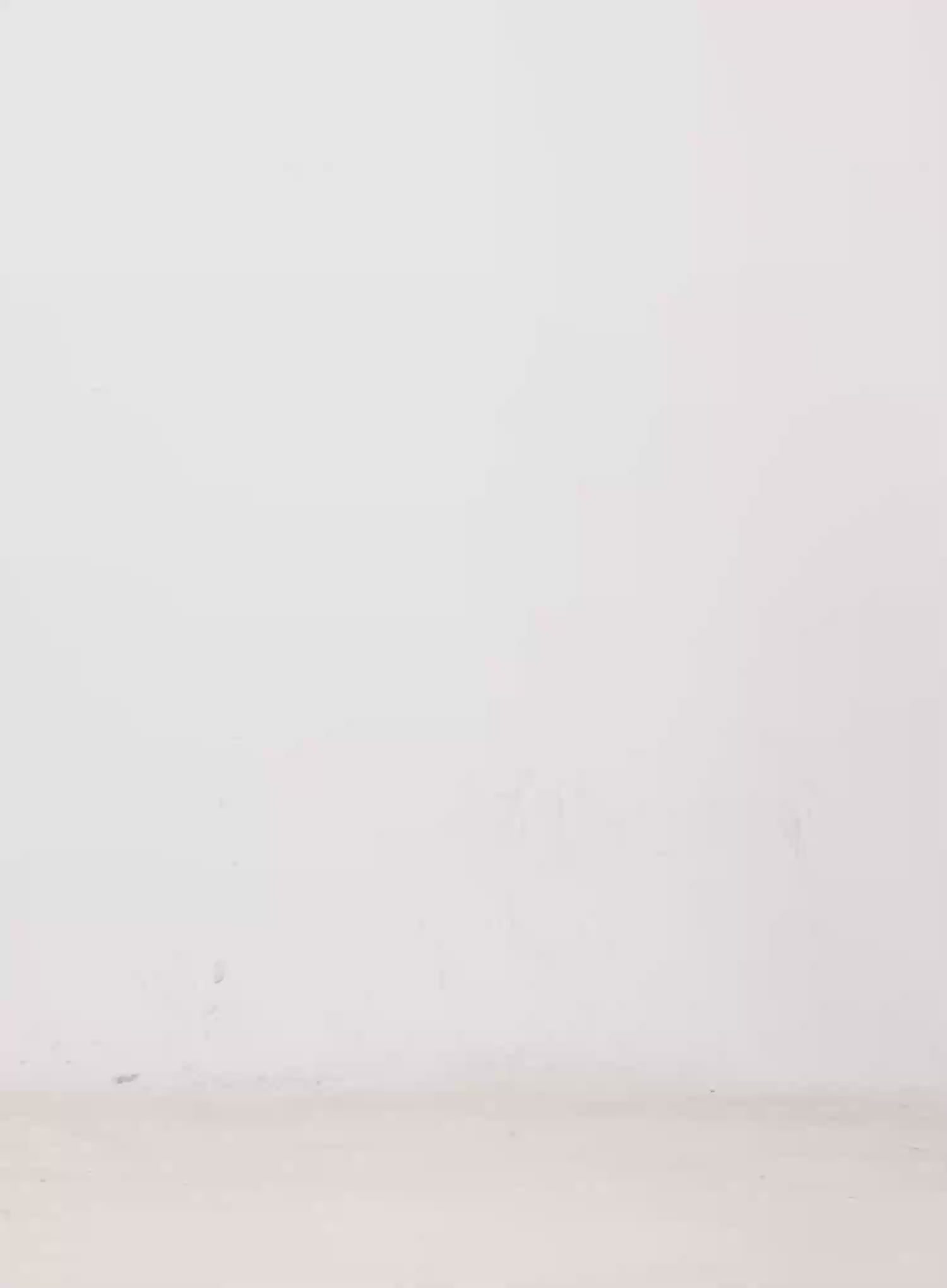 Rosary Style Cross Necklace IN525