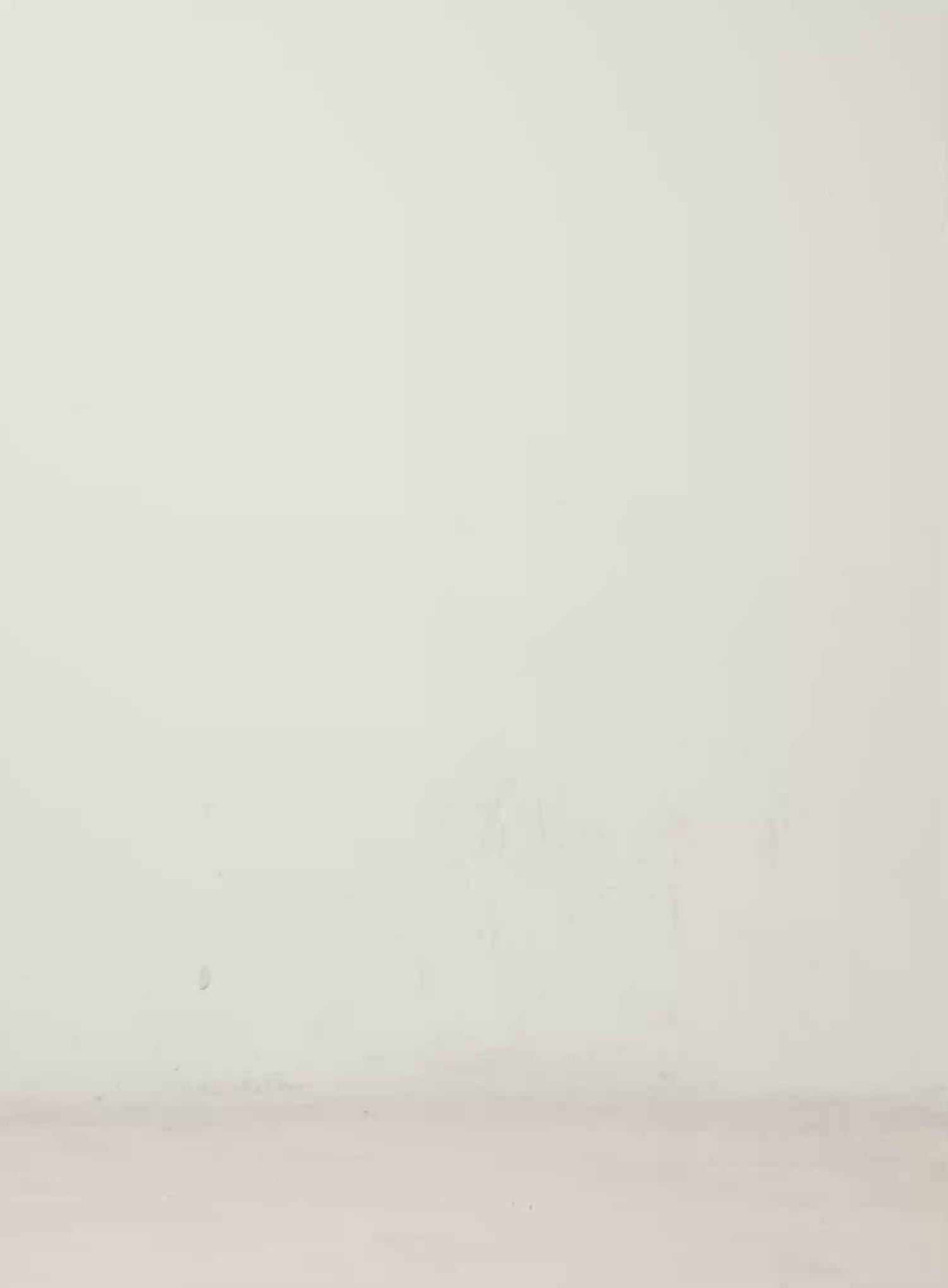 Slim Fit Printed Hoodie CN524