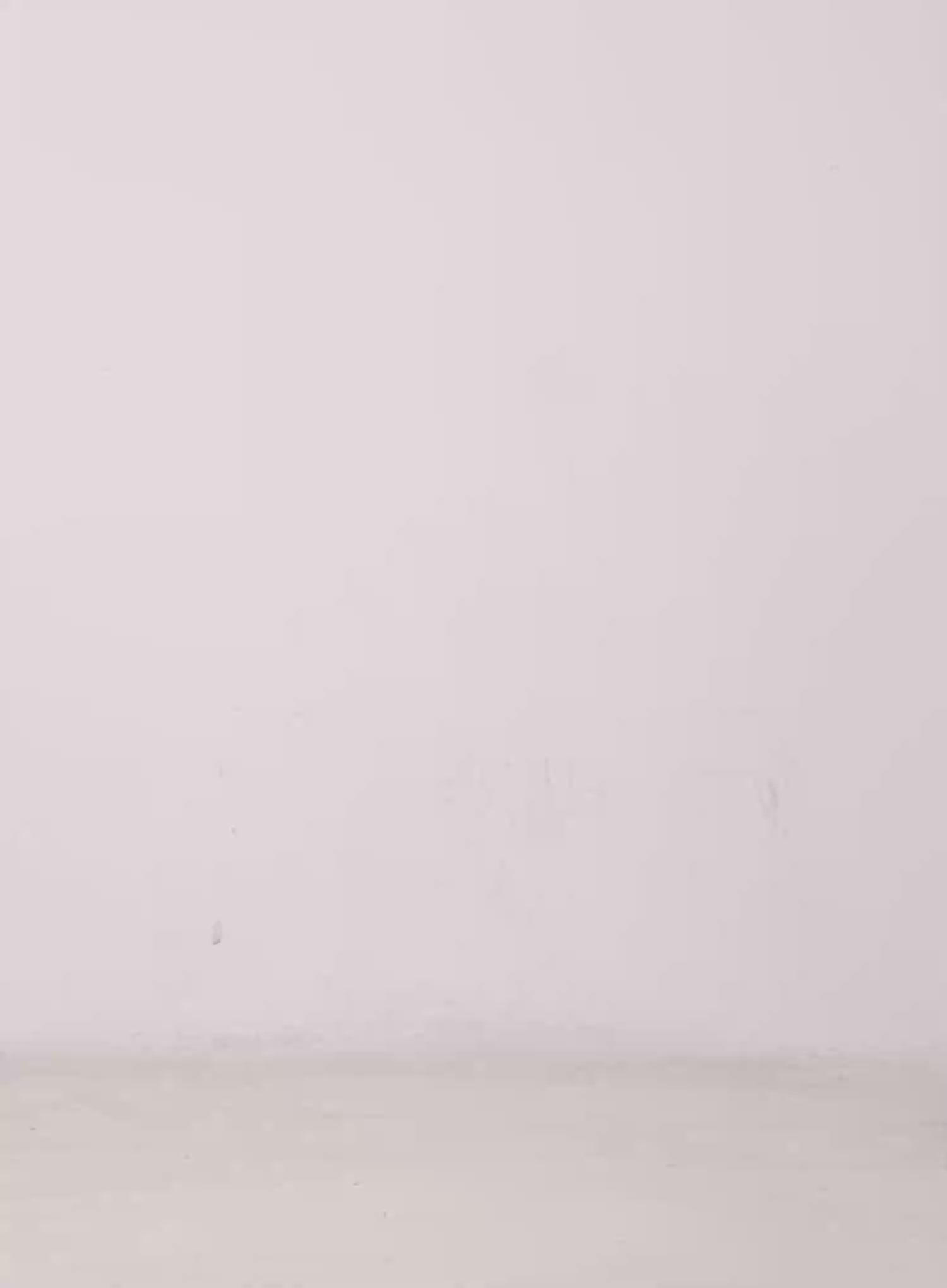 Off-Shoulder Graphic Long Sleeve Top CG529