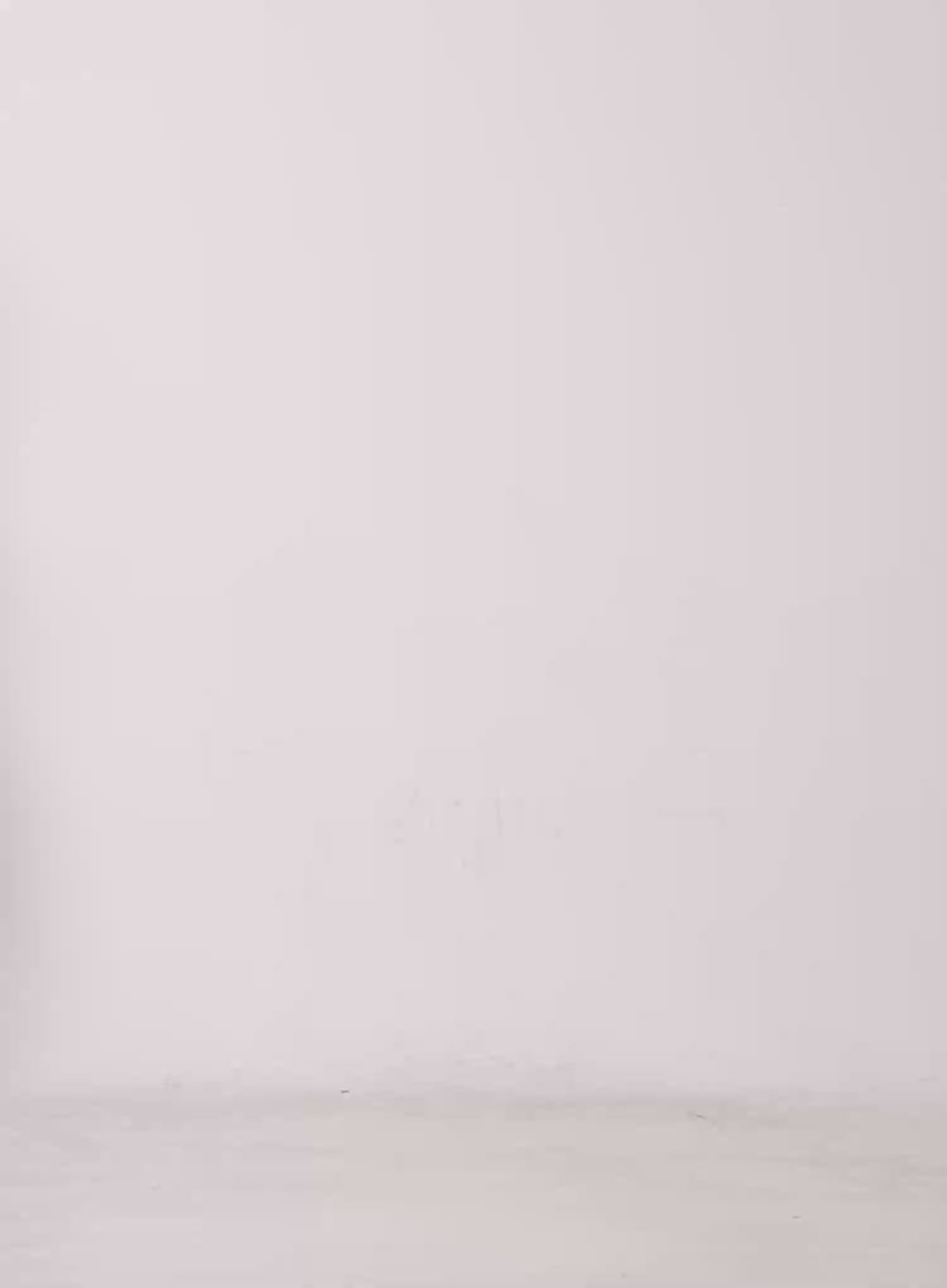 Star Print Sheer Mid-Length Leggings CU519