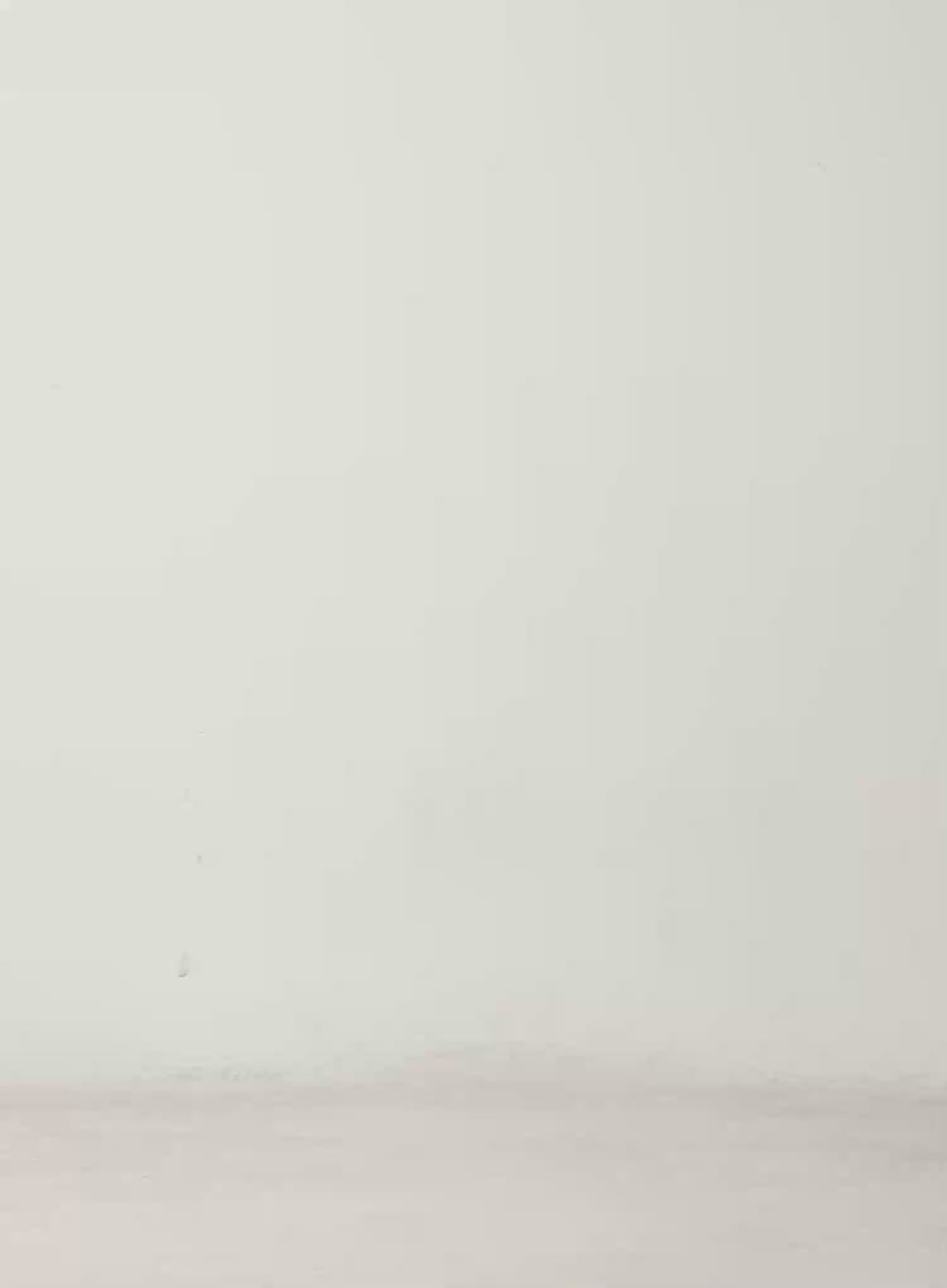 Studded Tube Top CN527