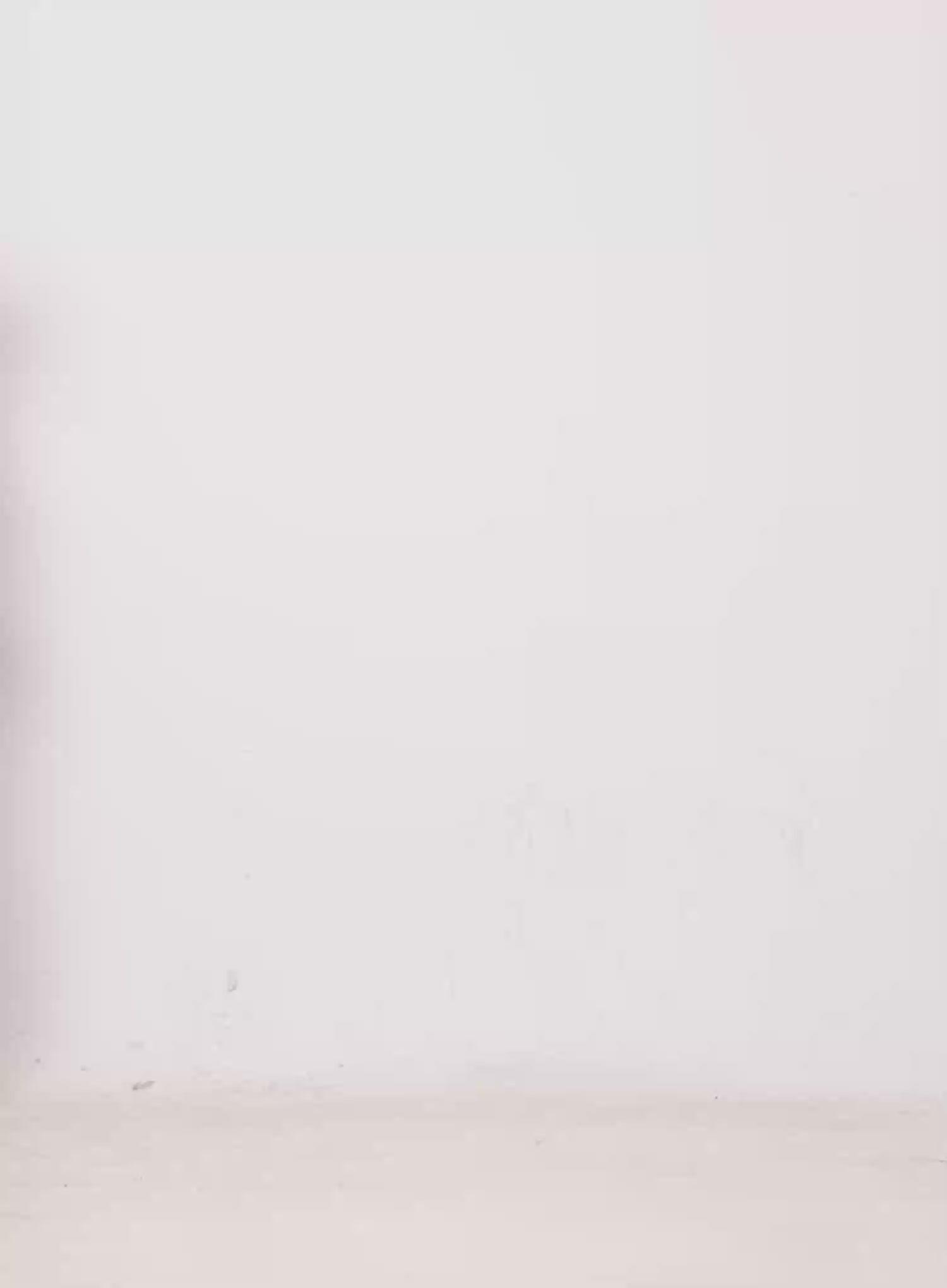 Vintage Studded Belt IN514