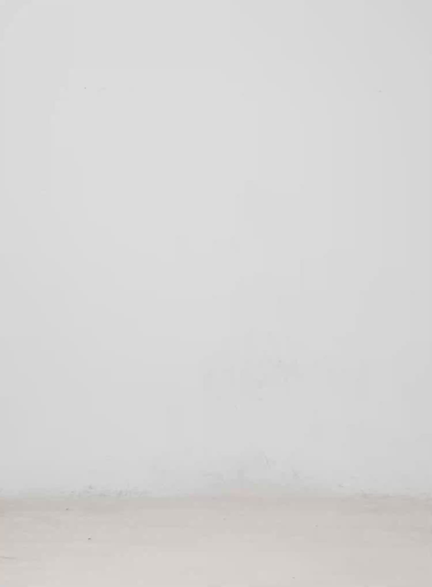 Dulce Studded Wide-Leg Jeans CM526