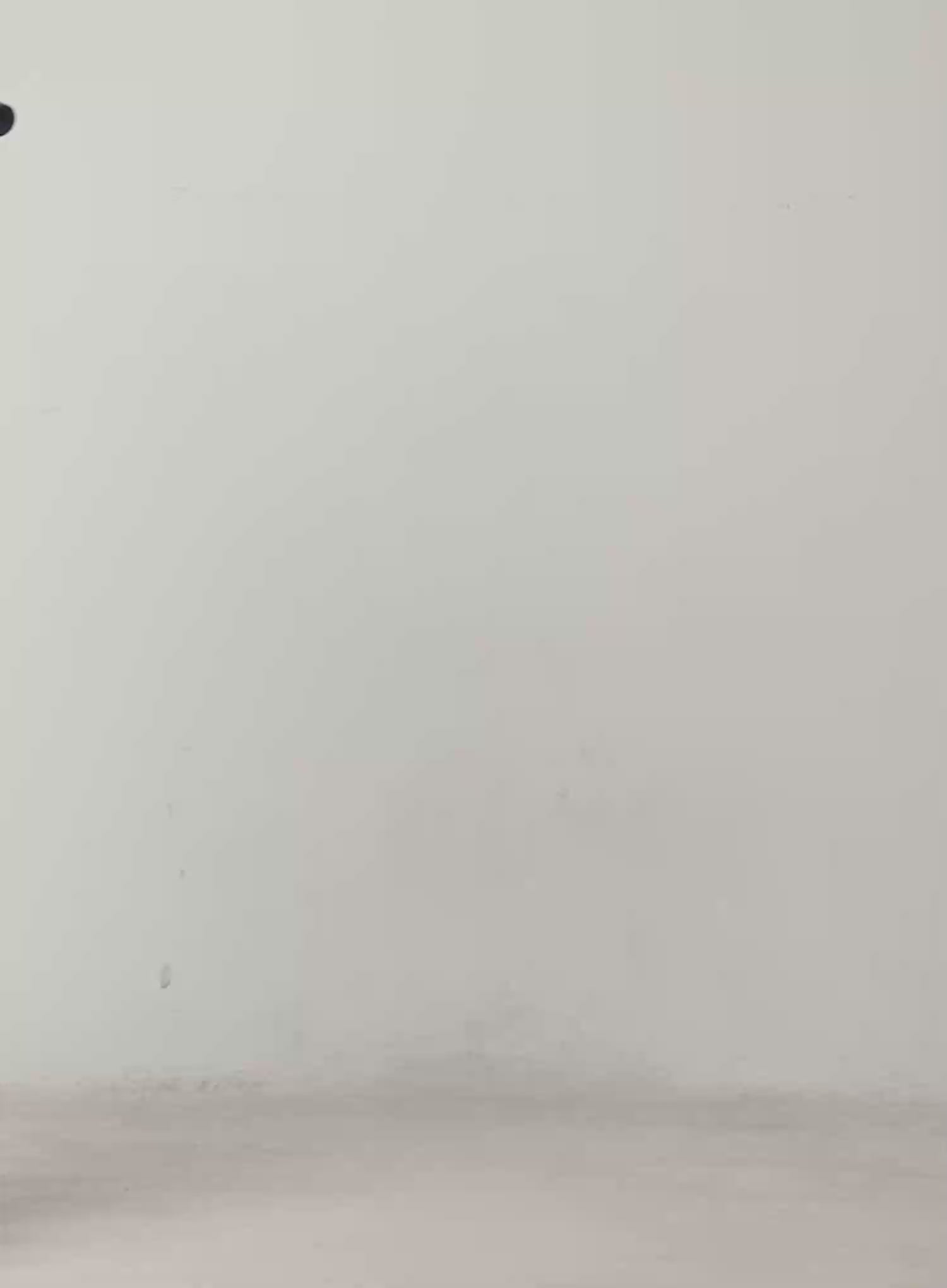 Double-Pleated Wide Sweatpants IJ529