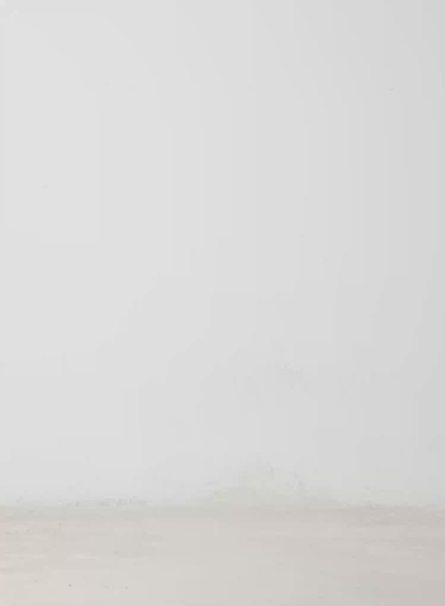 Ruffle Midi Skirt IM509