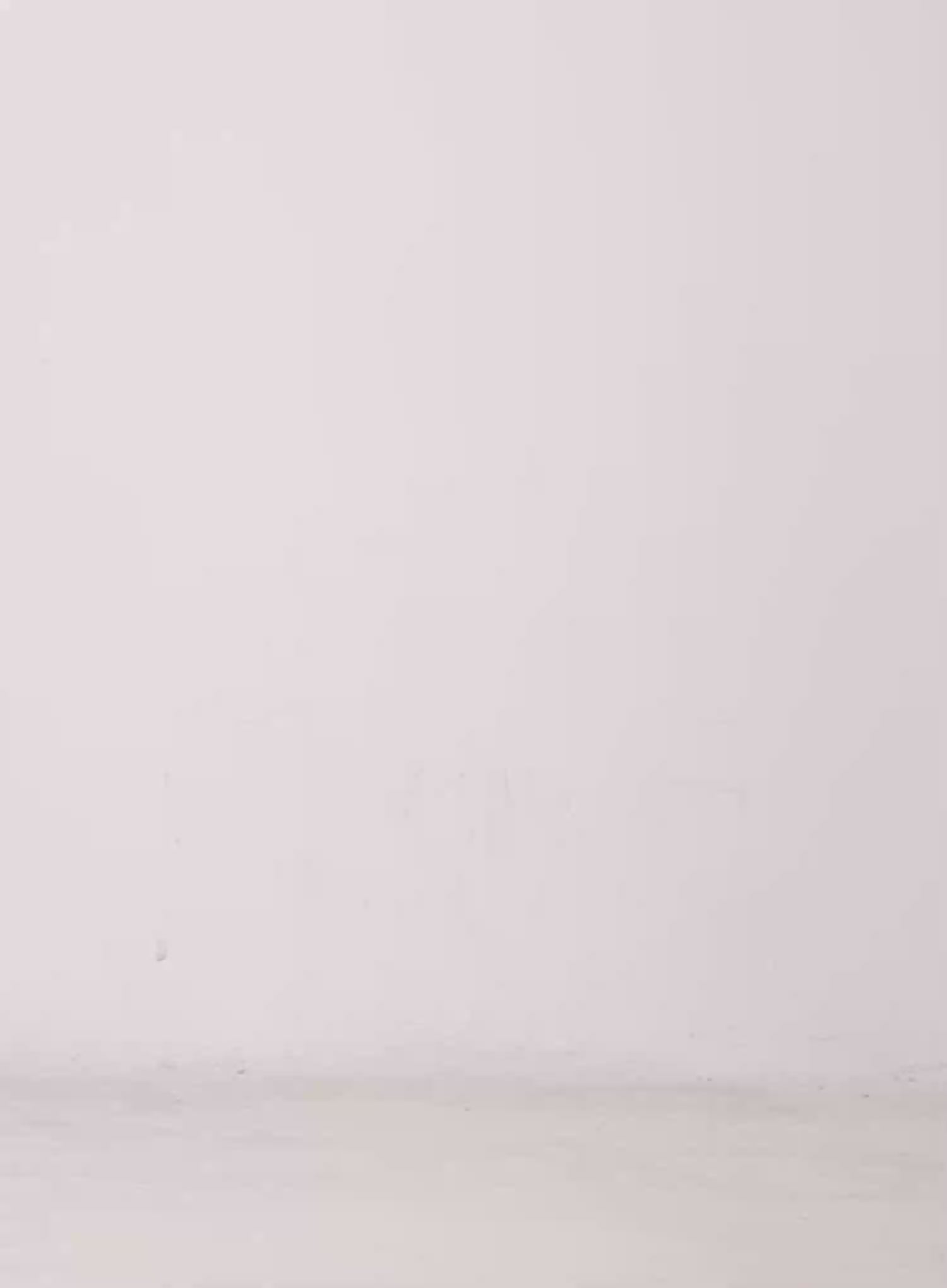 Hwasa Wash Wide-Leg Jeans CL511