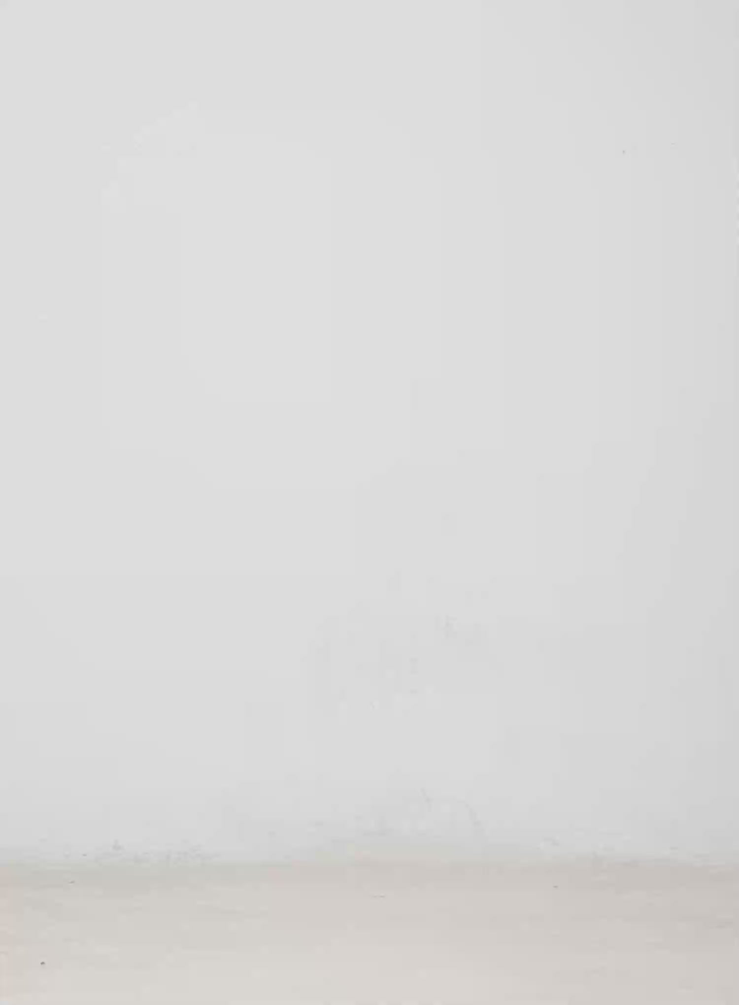 Wide Leg Cotton Pants CM526