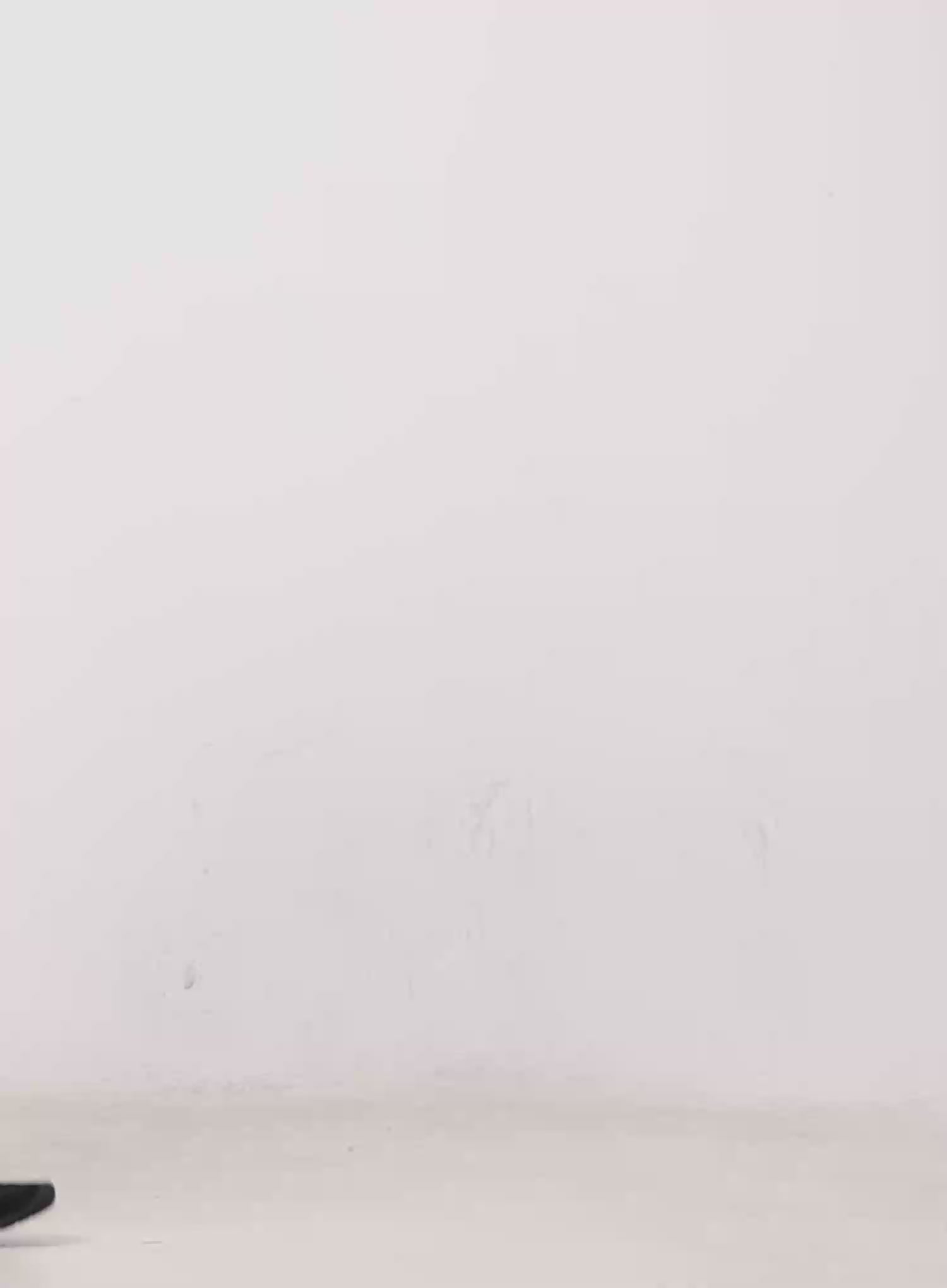 Wide Leg Sweatpants CO523