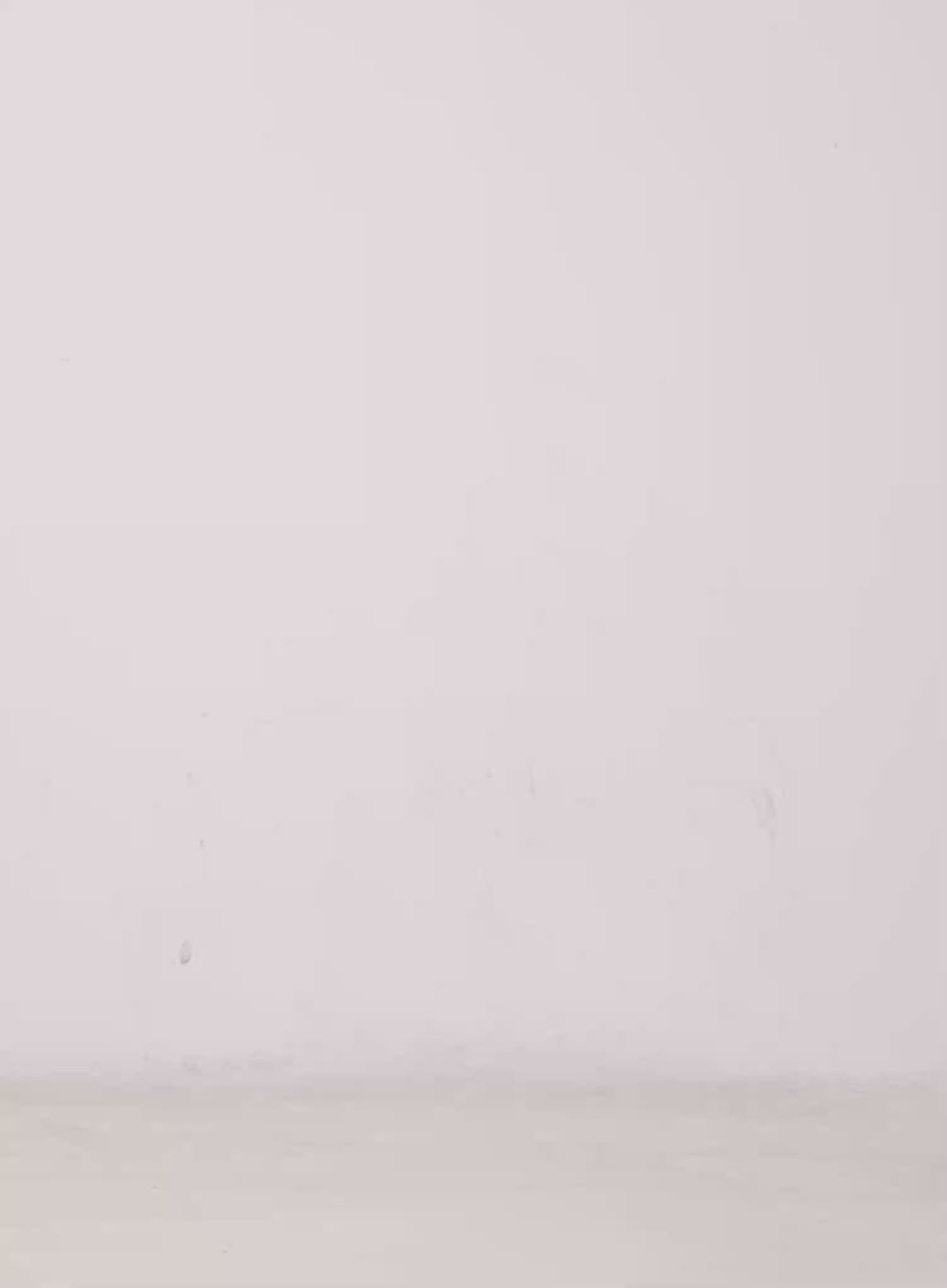 Basic U-Neck Long Sleeve Crop Tee CG529