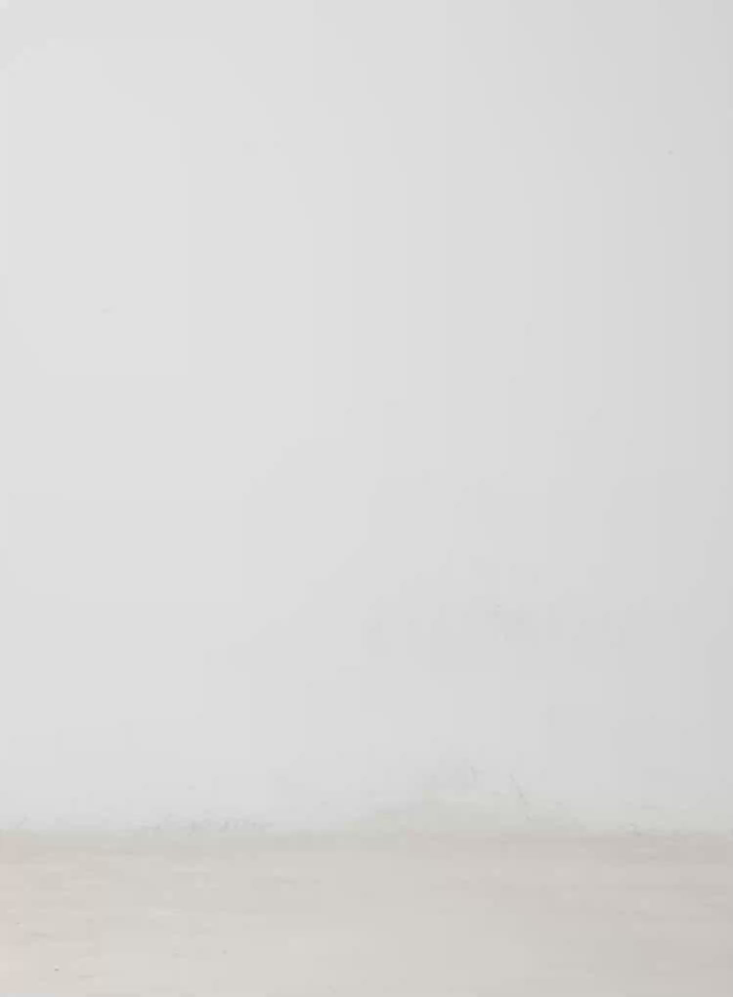 Laced Knit Thin Scarf IM513