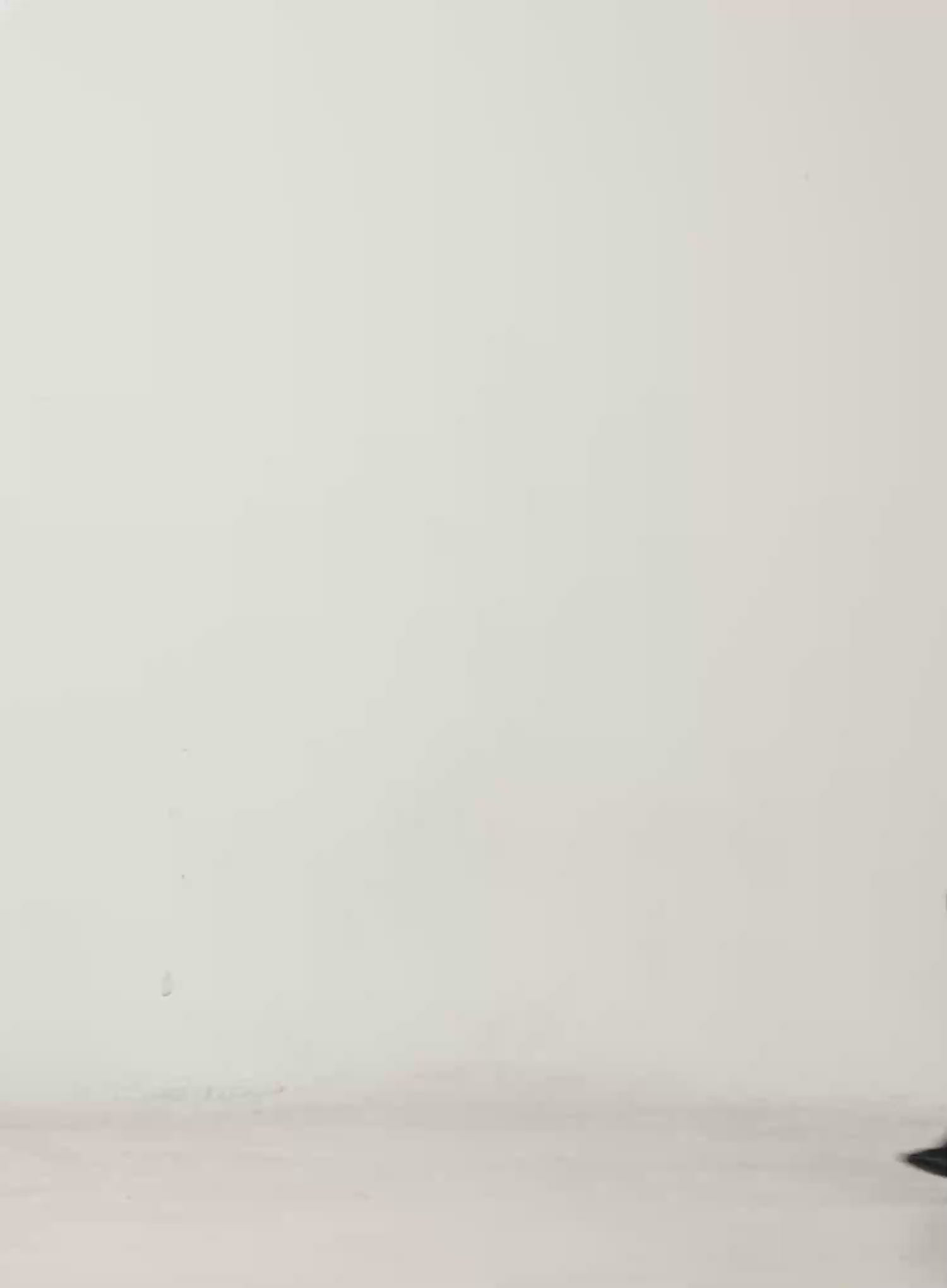 Classic Faux Fur Jacket CN527