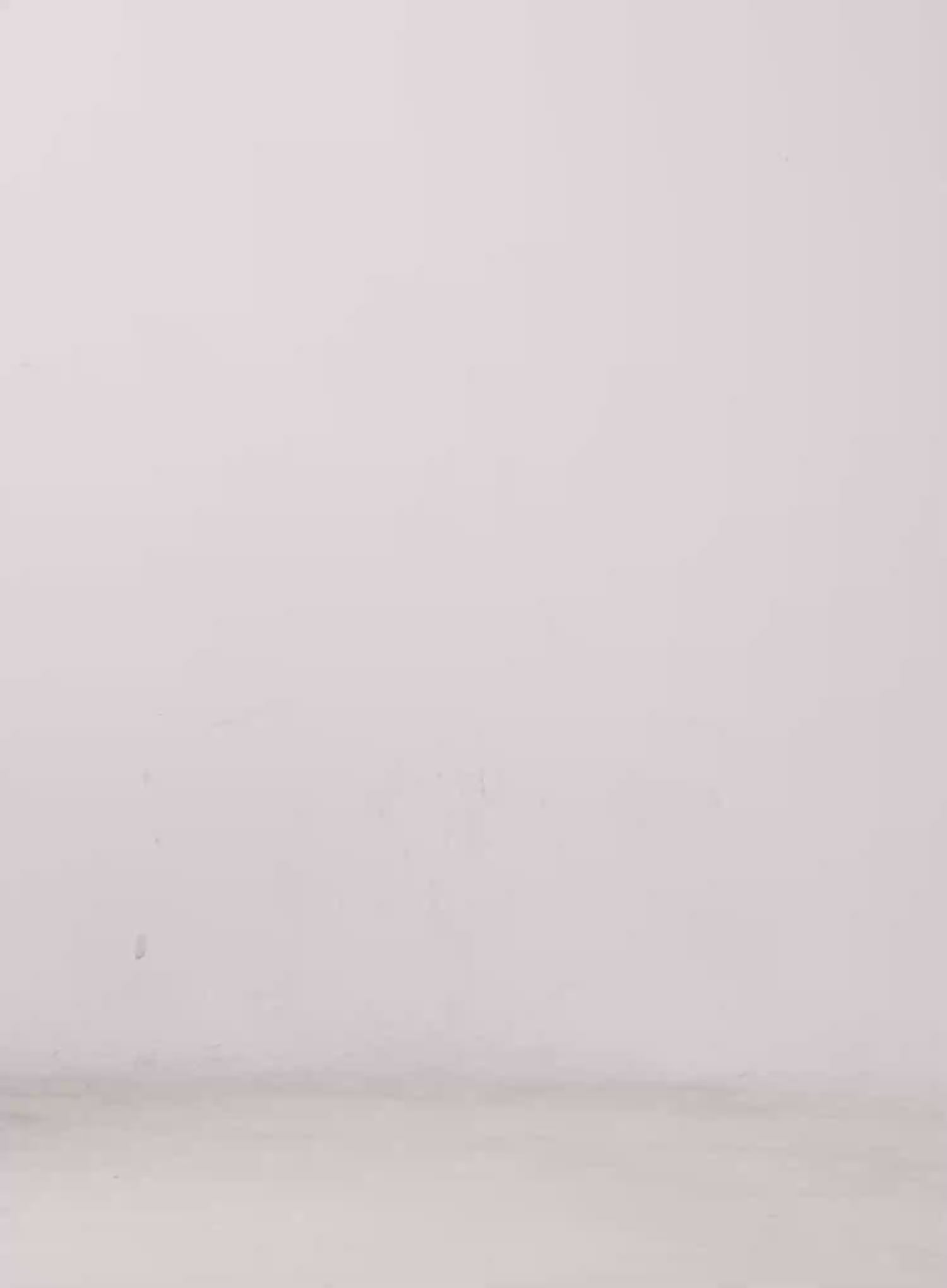 Comfy Wide-Leg Sweatpants CL515