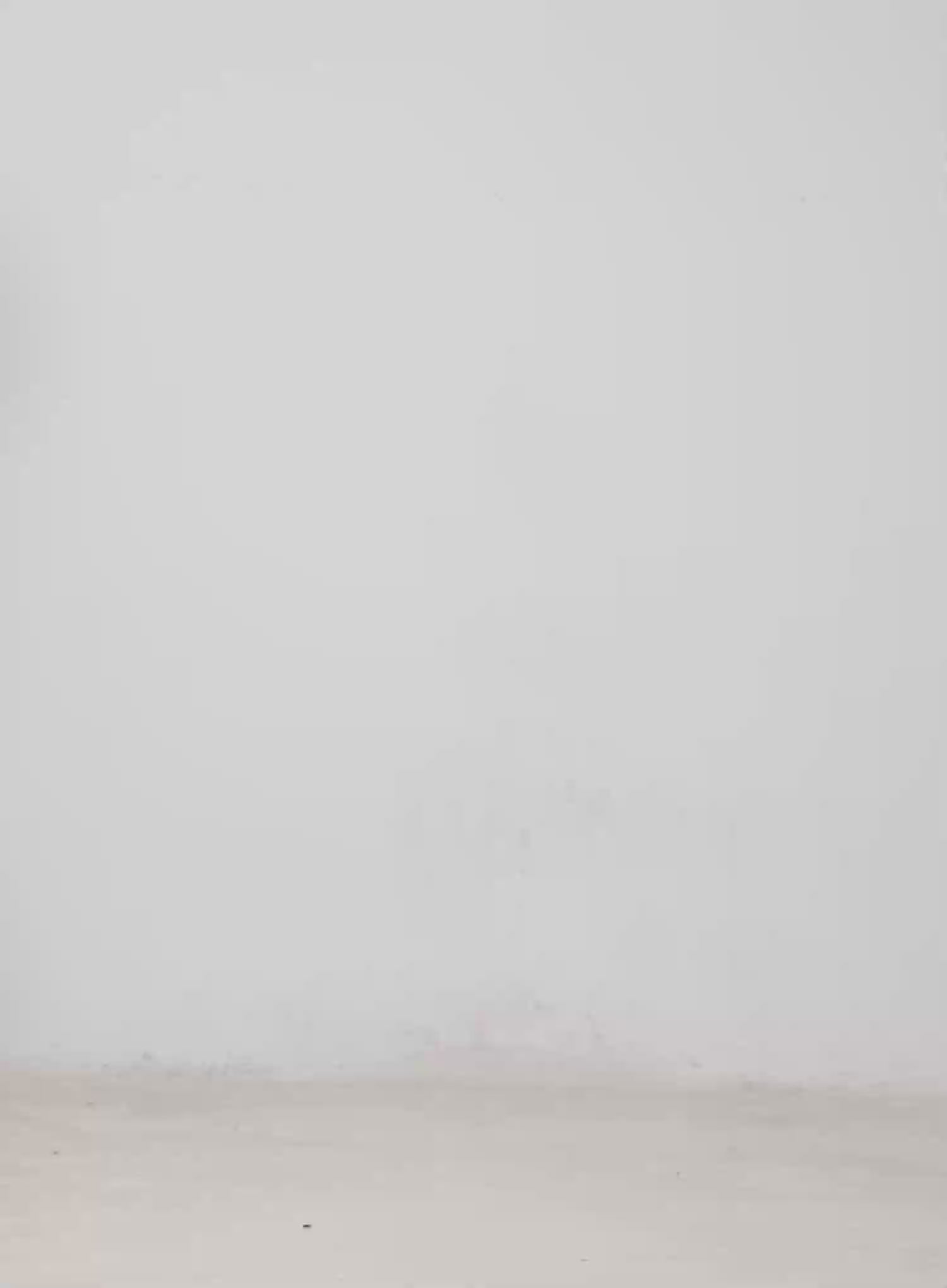 Sheer Long Sleeve Top CM526