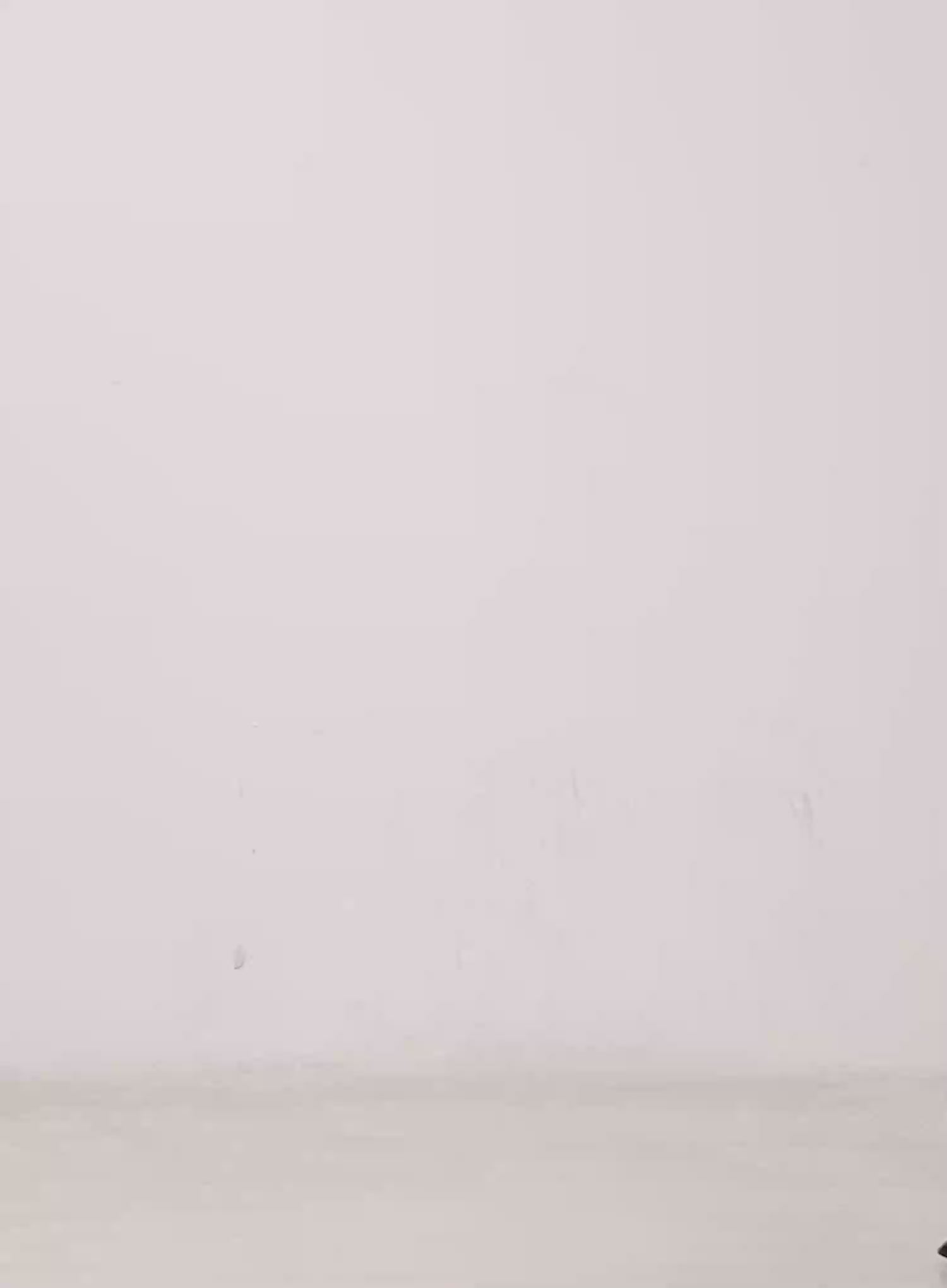 Lilian Vintage Wash Wide-Leg Jeans CS518