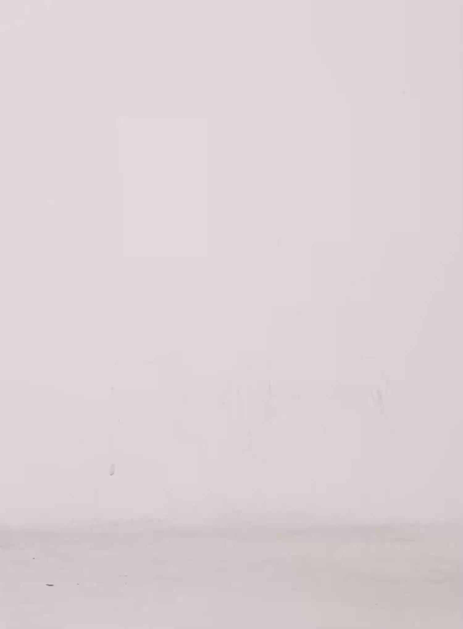 Oakley Cuffed Wide-Leg Jeans CS511