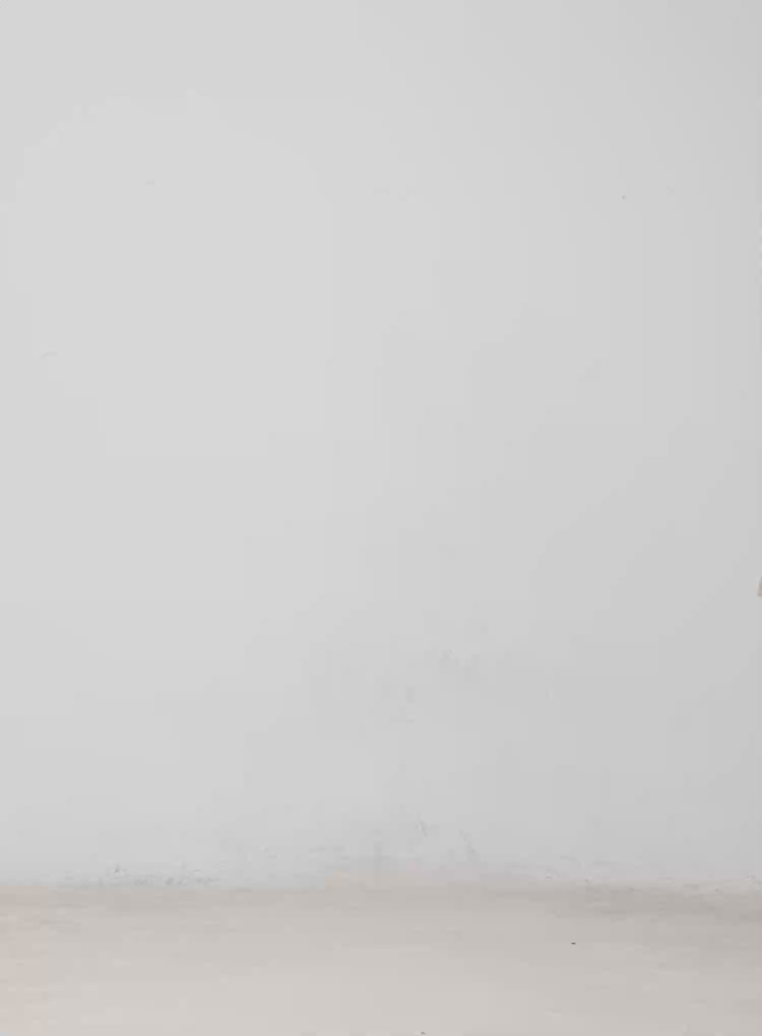 Two-Tone Short Trench Hooded Jacket CM512