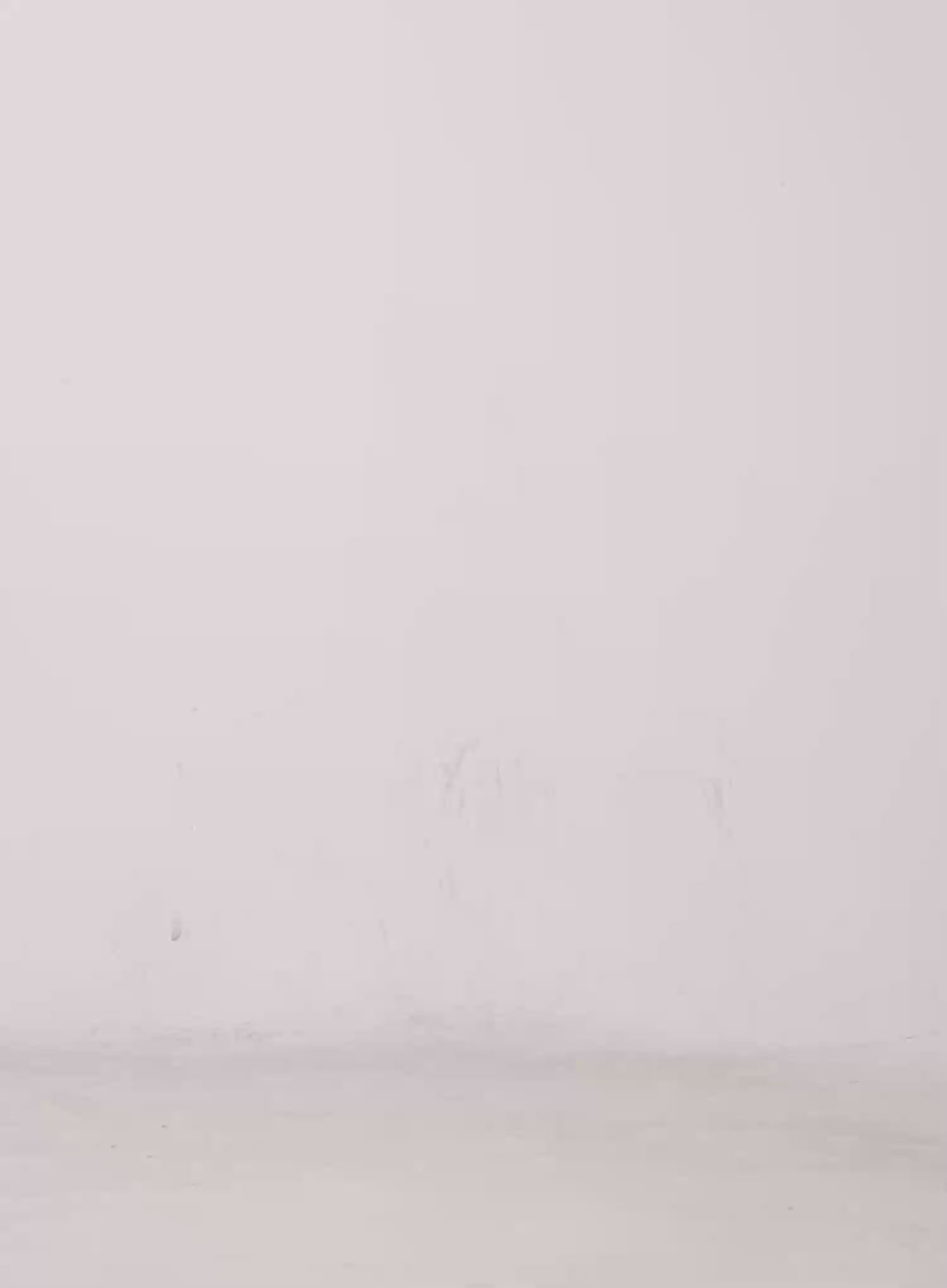 Oversized Boatneck Knit Sweater CO506