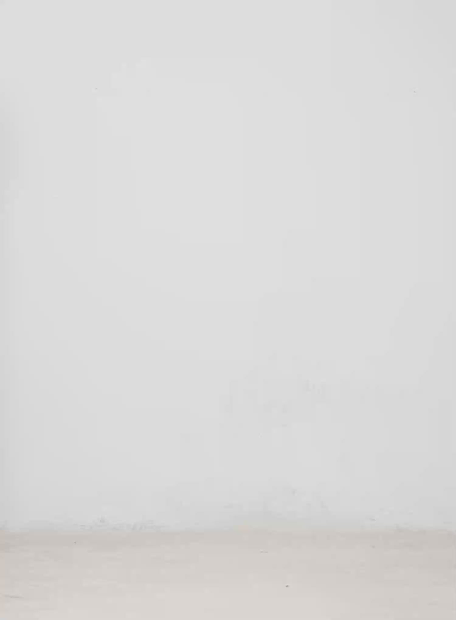 Animal Print Bootcut Pants CM526