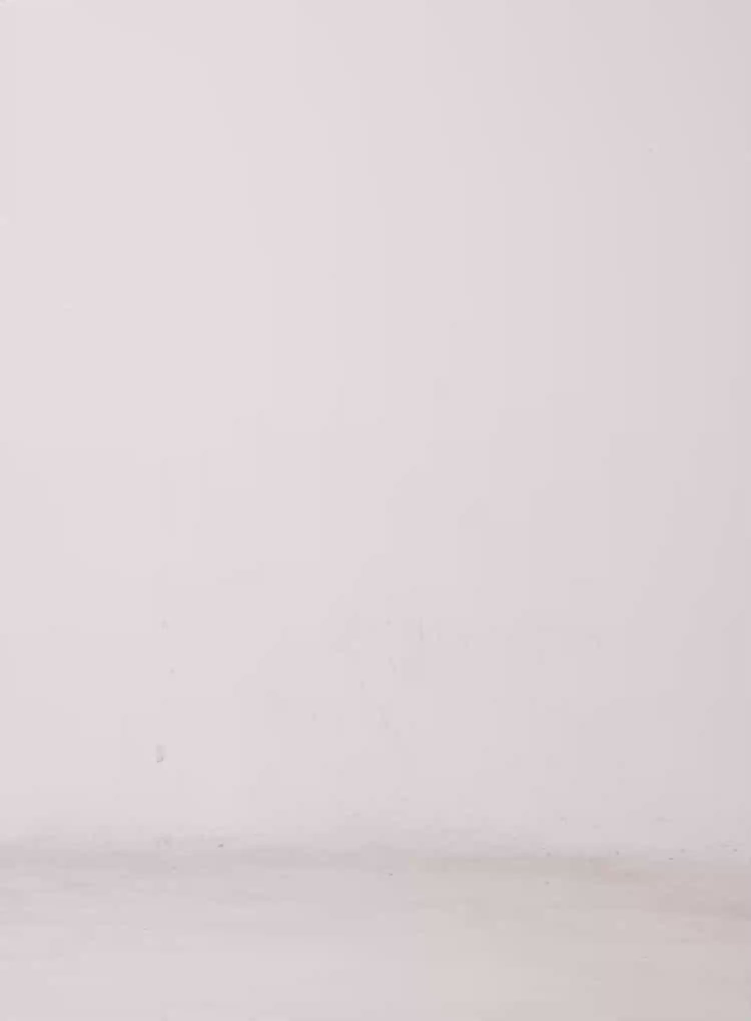 Shirred Tank Top CL511