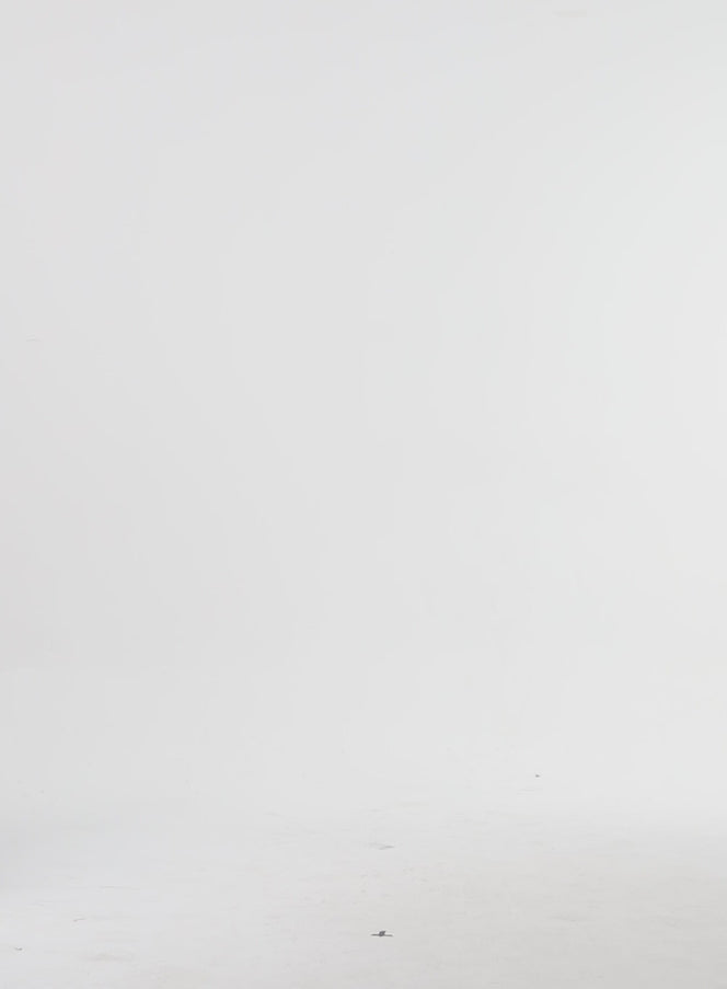 Kurzarmjacke IA326
