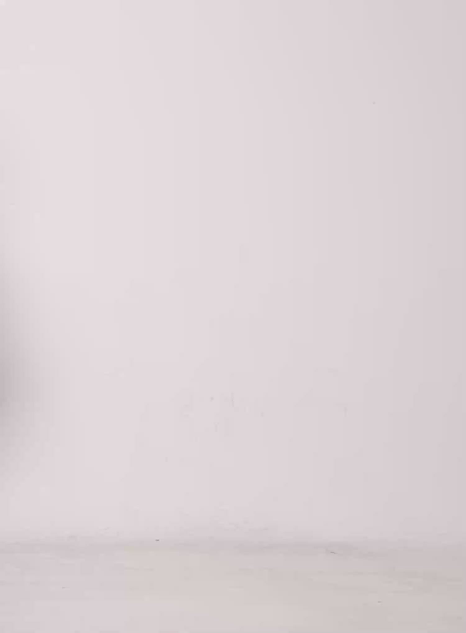 Flared Ruffle Mini Skirt CU520