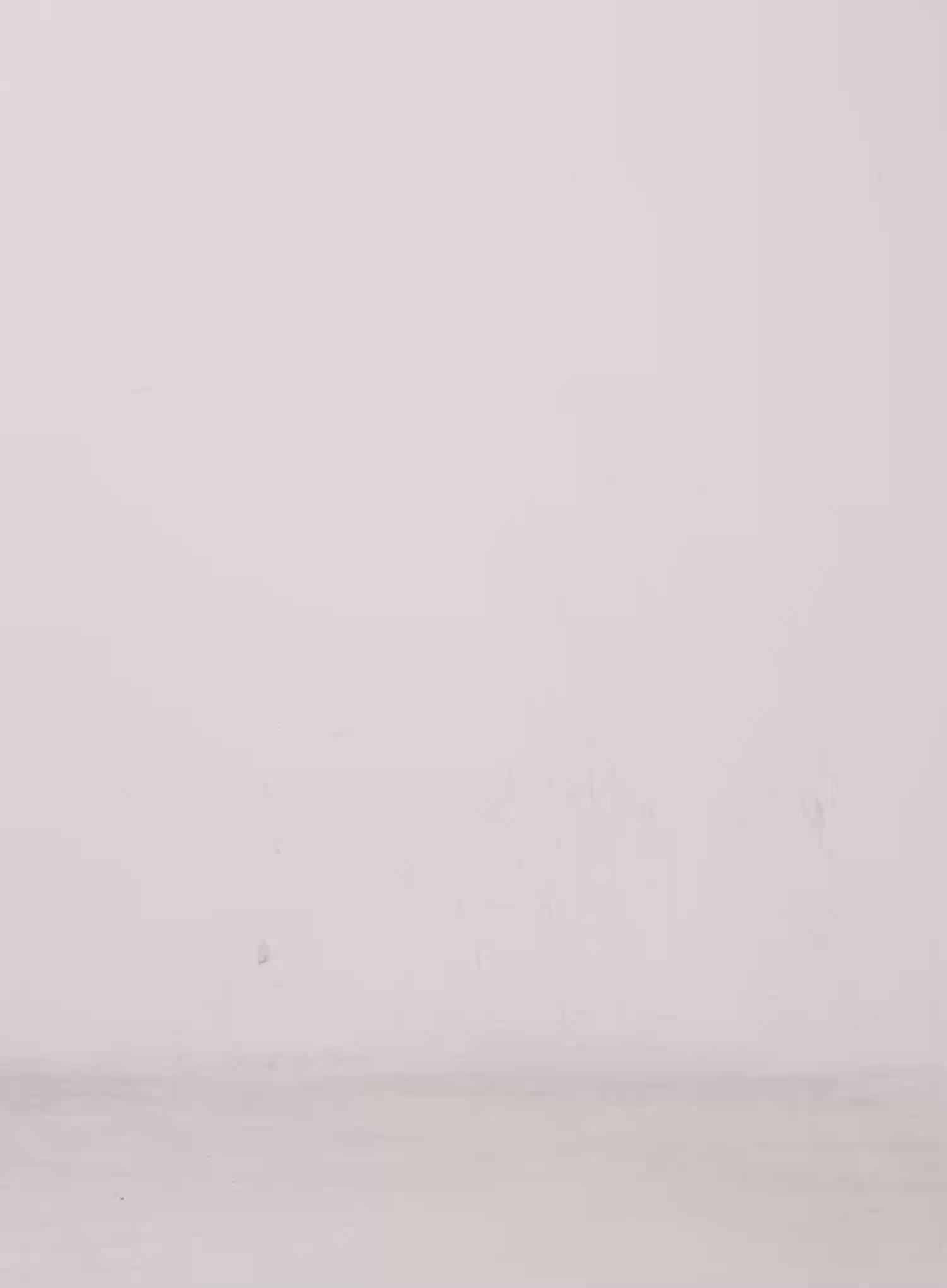 Graphic Wide-Leg Sweatpants IS525