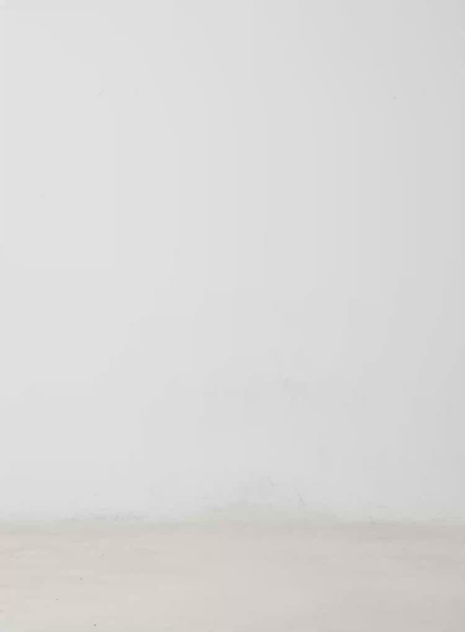 Pleated Mini Skort IM513