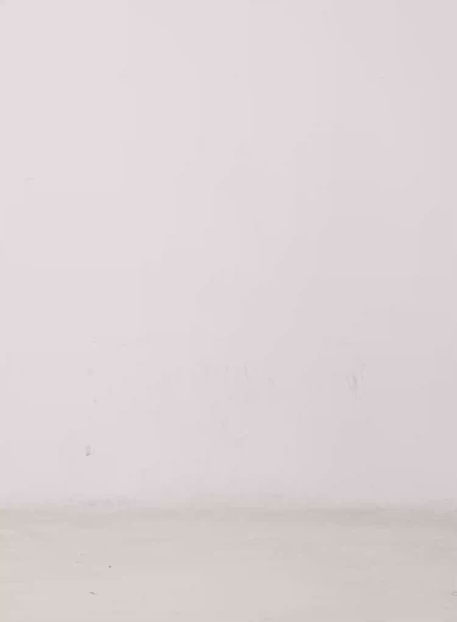 Giada Raw Indigo Wide-Leg Jeans CS505