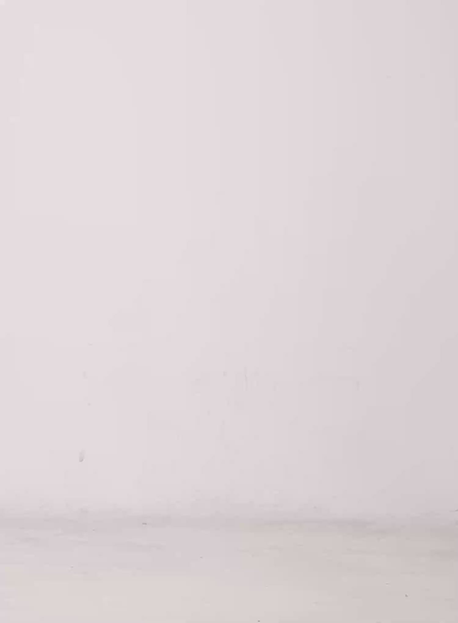 Washed Casual Jorts CL510